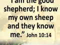 RELIGION QUOTES