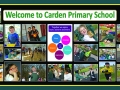 PRIMARY SCHOOL